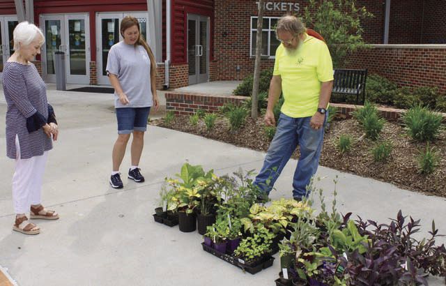 Spring planting